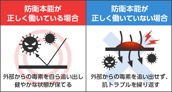 ◎防衛反応が正しく働いている場合
                                    →外部からの毒素を自ら追い出し健やかな状態が保てる
                                    ✖防衛反応が正しく働いていない場合
                                    →外部からの毒素を追い出せず、肌トラブルを繰り返す